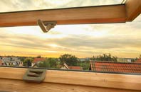 rated Cruise Hill roof window companies